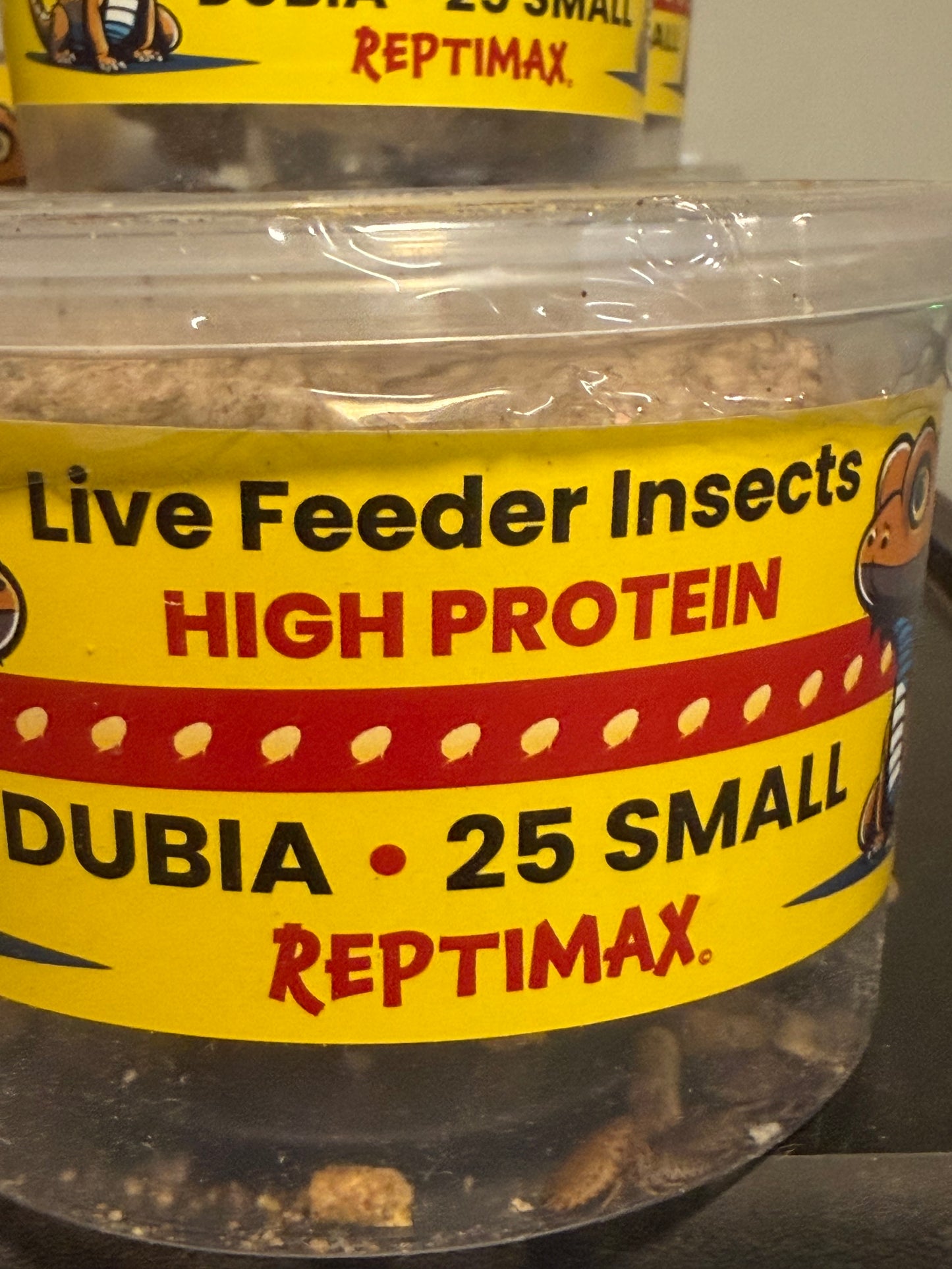 Dubia roaches 25 small cup