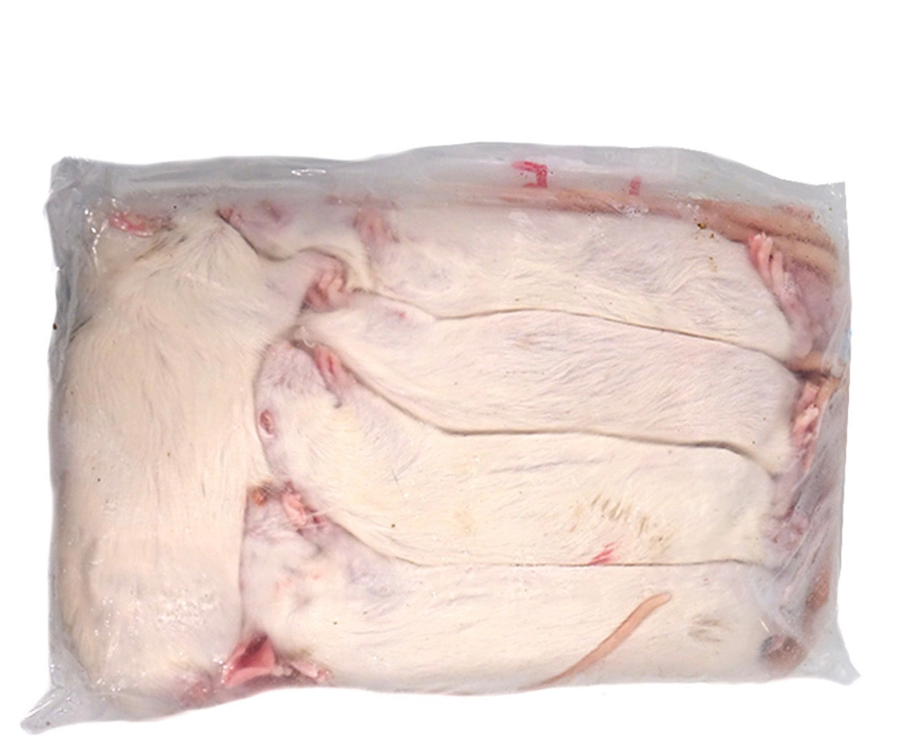 Frozen Large Rats (5 Pack)