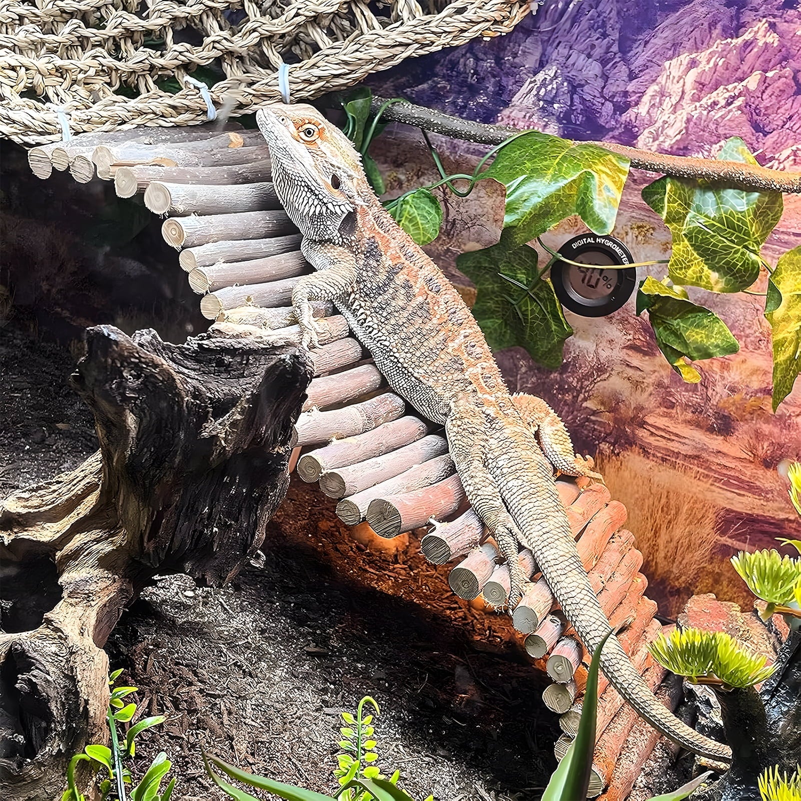 Bearded Dragon Tank Accessories, Include Reptile Mat Hammock Plants Bridge Jungle Climber Vines Terrarium Decorations for Bearded Dragon Lizard Snake