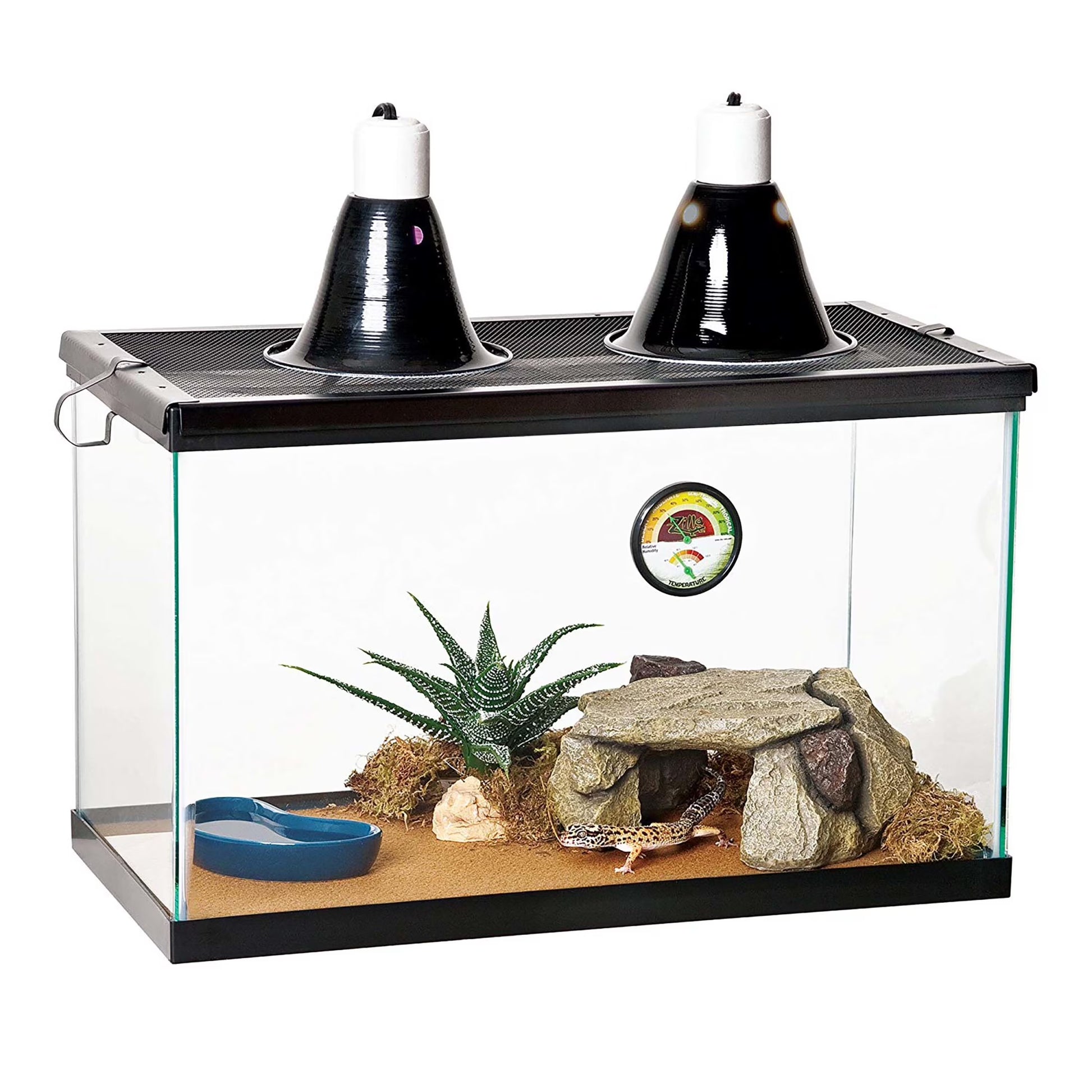 Desert Reptile Terrarium Starter Kit 10 (ECOM)