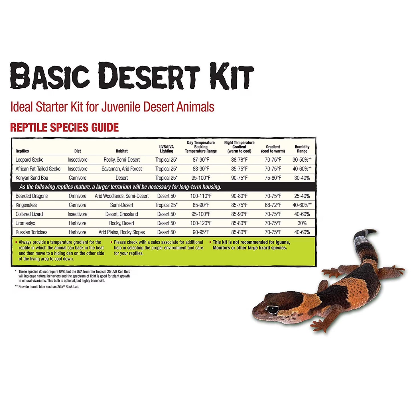 Desert Reptile Terrarium Starter Kit 10 (ECOM)
