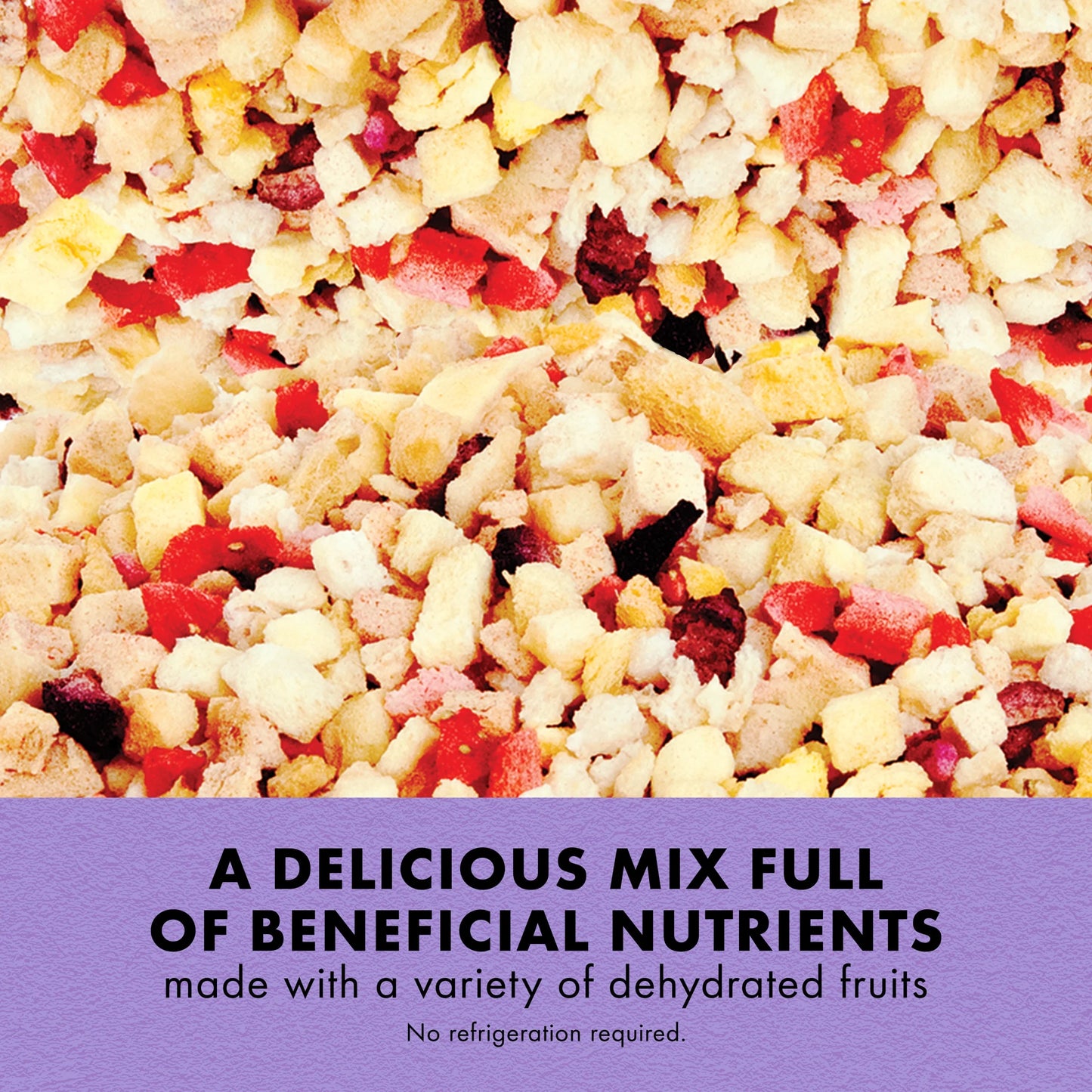 Reptile Munchies Fruit Mix Black 2.5 Oz.
