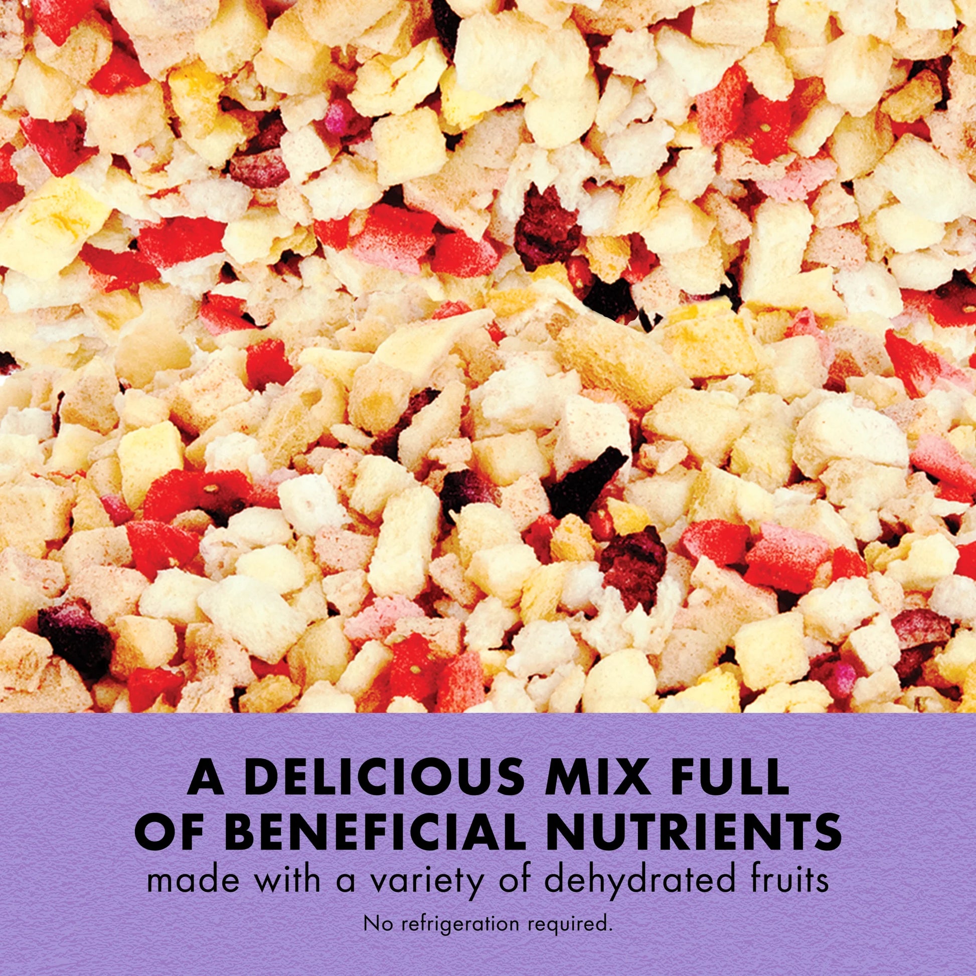 Reptile Munchies Fruit Mix Black 2.5 Oz.