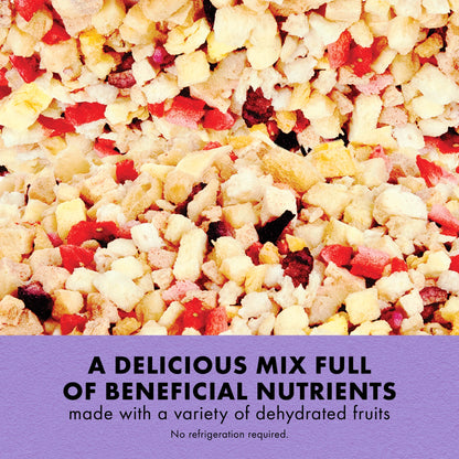 Reptile Munchies Fruit Mix Black 2.5 Oz.