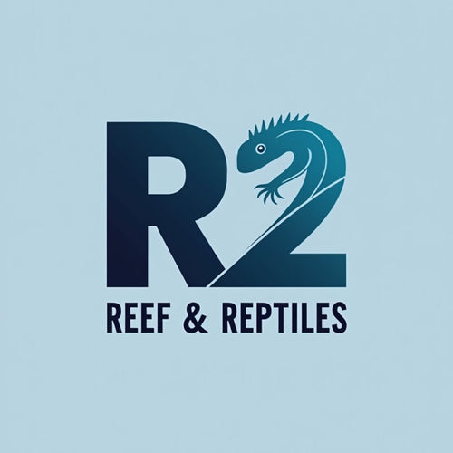 R2 Reef & reptiles