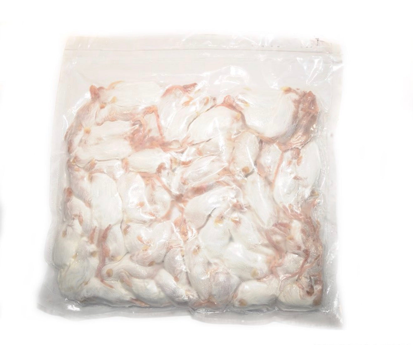 Frozen Hopper Mice (25 Pack)