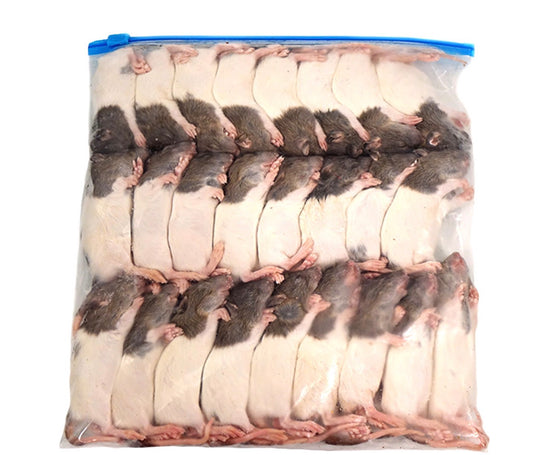 Frozen Rat Pups (25 Pack)