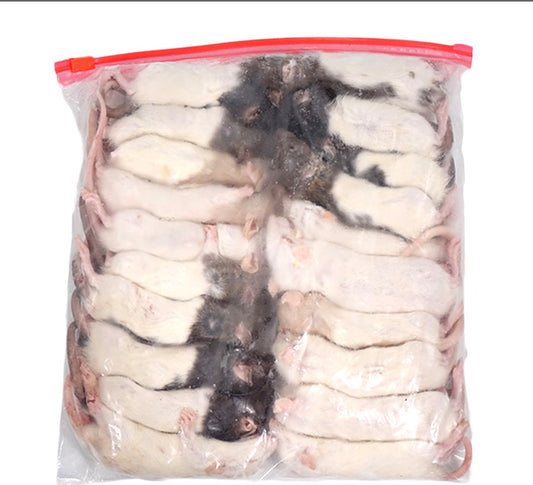 Frozen Small Rats (20 Pack)