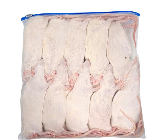 Frozen Medium Rats (10 Pack)