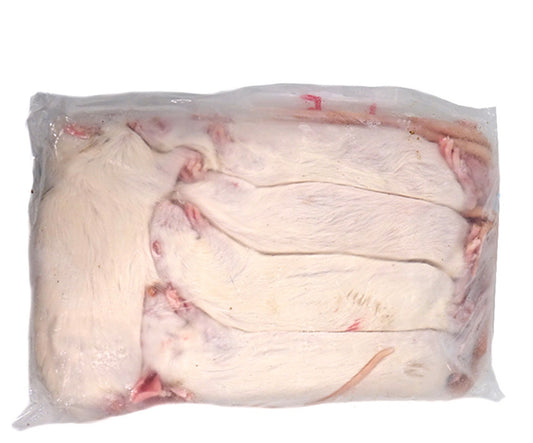 Frozen Large Rats (5 Pack)