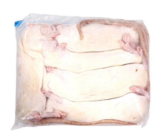 Frozen Jumbo Rats (5 Pack)